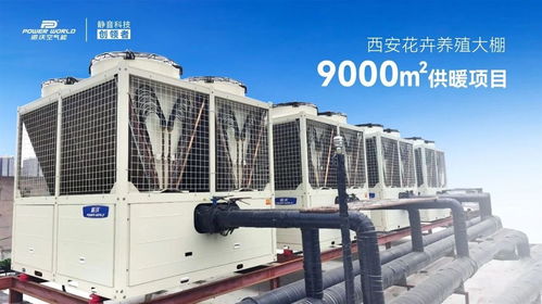 精品案例 派沃空氣能助力花卉養(yǎng)殖大棚9000㎡供暖項(xiàng)目，35臺(tái)超低溫?zé)岜米o(hù)航冬日花開